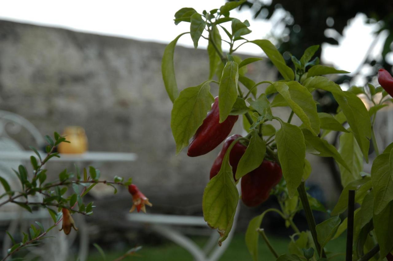 Castello D'Alcontres Guest House 3 Stelle Nizza di Sicilia Exterior photo